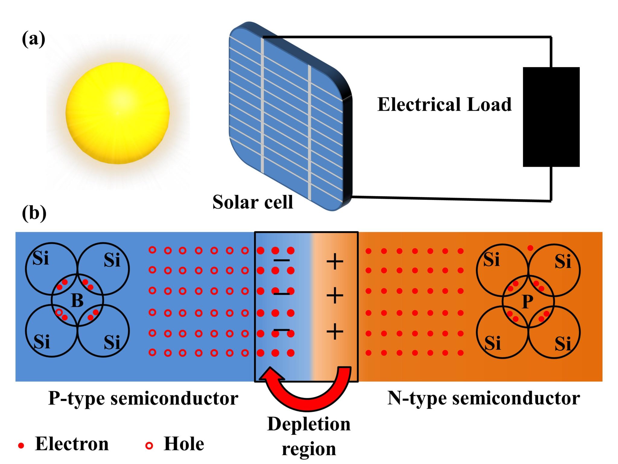 Solar Cells, Their Construction, And Working