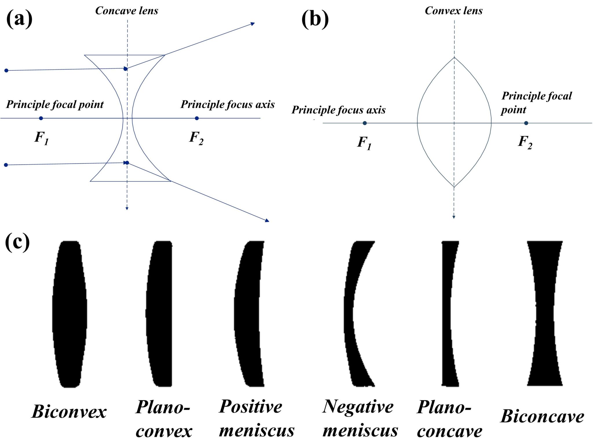 description-of-lens-and-its-different-types-with-their-applications